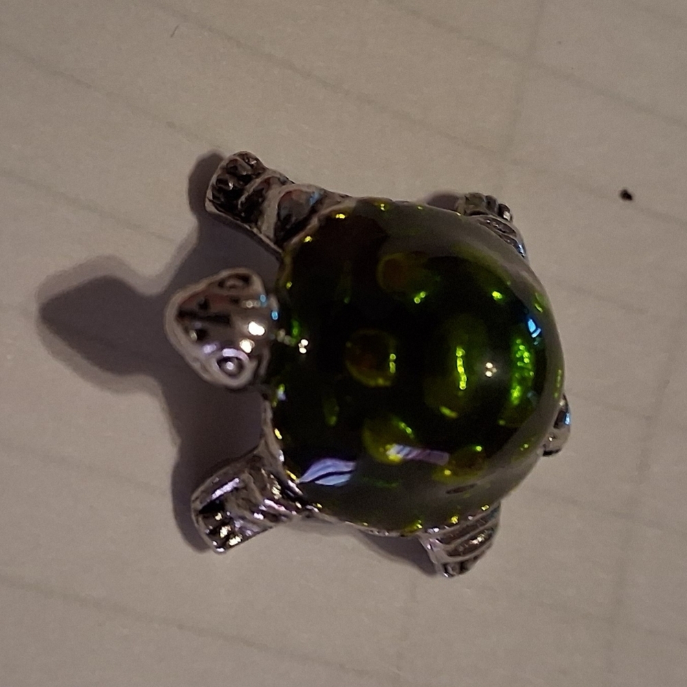 12 Turtle Charms And Cards